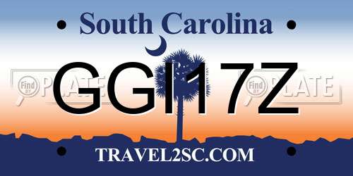 GGI17Z South Carolina License Plate