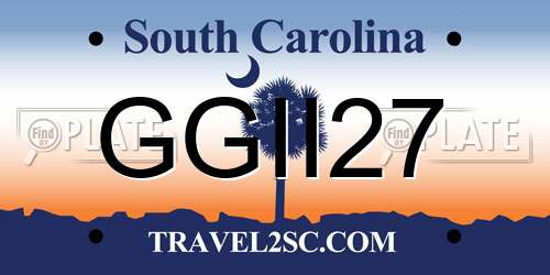 GGII27 South Carolina License Plate