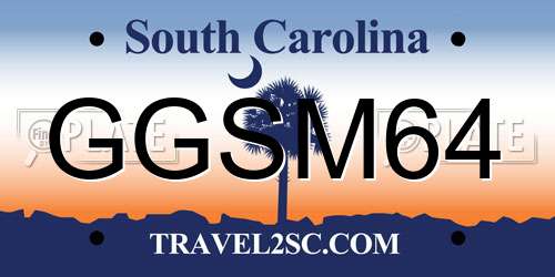 GGSM64 South Carolina License Plate