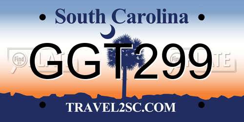 GGT299 South Carolina License Plate