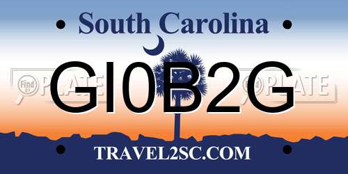 GI0B2G South Carolina License Plate