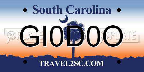 GI0D0O South Carolina License Plate
