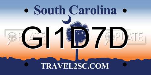 GI1D7D South Carolina License Plate