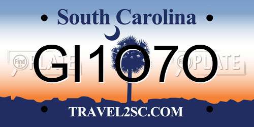 GI1O7O South Carolina License Plate
