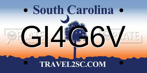 GI4G6V South Carolina License Plate