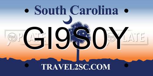 GI9S0Y South Carolina License Plate
