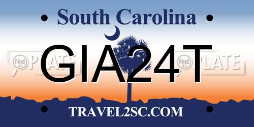 GIA24T South Carolina License Plate