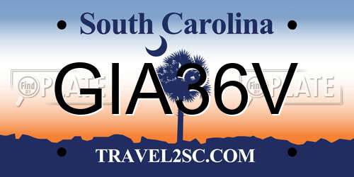GIA36V South Carolina License Plate