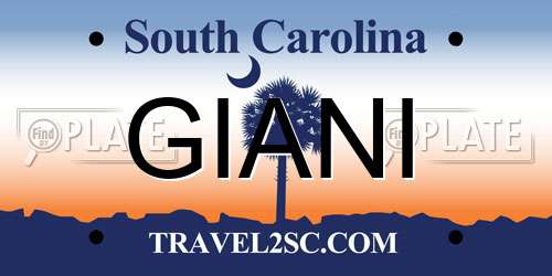 GIANI South Carolina License Plate