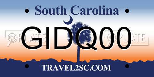 GIDQ00 South Carolina License Plate
