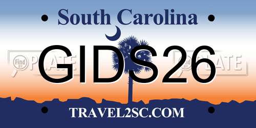 GIDS26 South Carolina License Plate