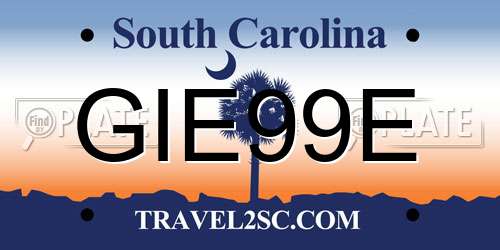 GIE99E South Carolina License Plate