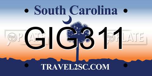 GIG311 South Carolina License Plate