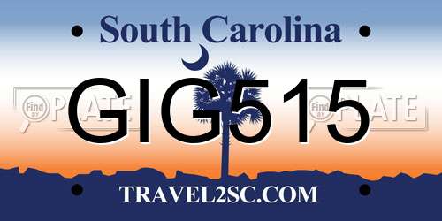 GIG515 South Carolina License Plate