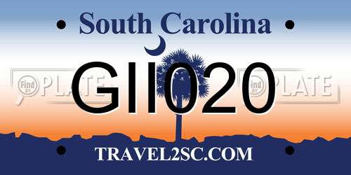 GII020 South Carolina License Plate