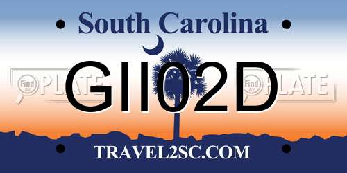 GII02D South Carolina License Plate