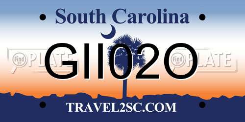 GII02O South Carolina License Plate