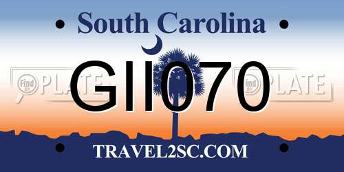 GII070 South Carolina License Plate