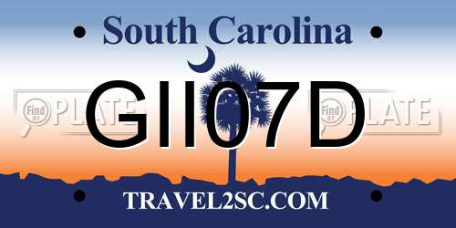 GII07D South Carolina License Plate