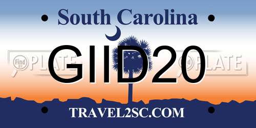 GIID20 South Carolina License Plate