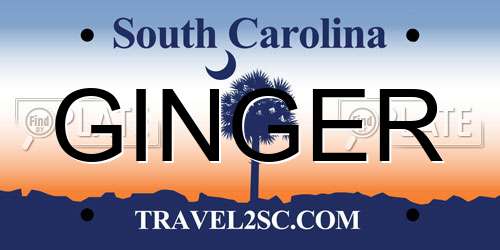 GINGER South Carolina License Plate