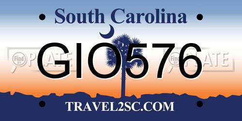 GIO576 South Carolina License Plate