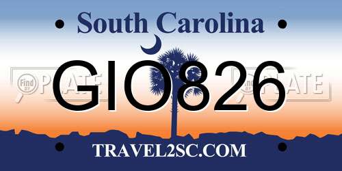 GIO826 South Carolina License Plate