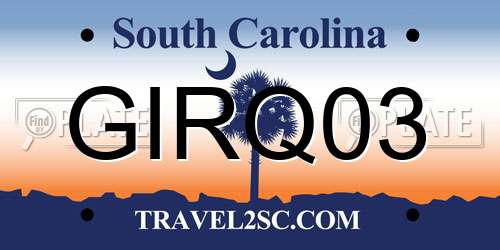 GIRQ03 South Carolina License Plate
