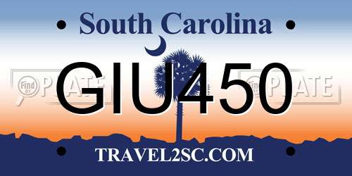 GIU450 South Carolina License Plate
