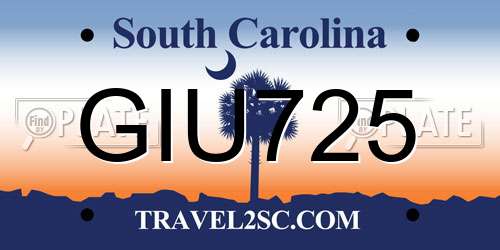 GIU725 South Carolina License Plate