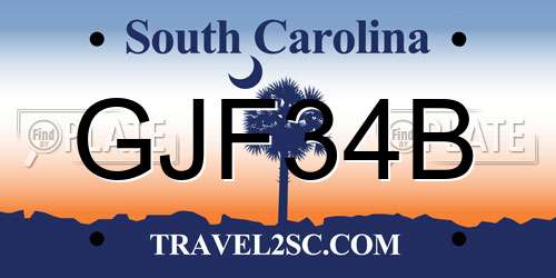 GJF34B South Carolina License Plate
