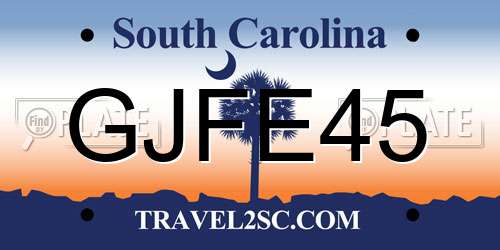 GJFE45 South Carolina License Plate