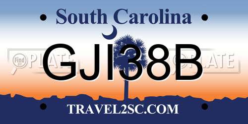 GJI38B South Carolina License Plate