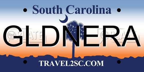 GLDNERA South Carolina License Plate
