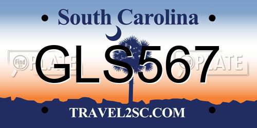 GLS567 South Carolina License Plate