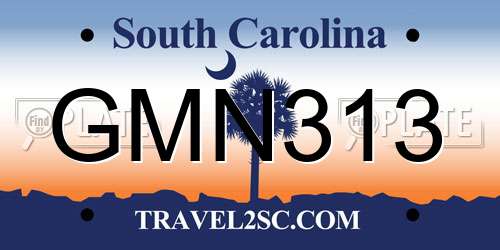 GMN313 South Carolina License Plate