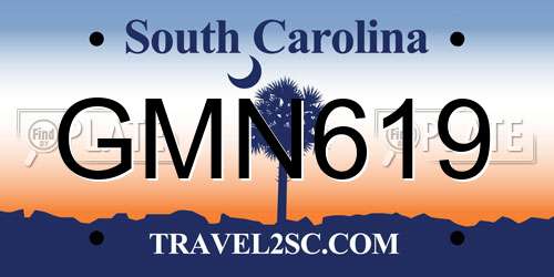 GMN619 South Carolina License Plate
