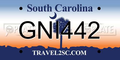 GNI442 South Carolina License Plate