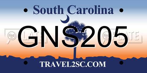 GNS205 South Carolina License Plate