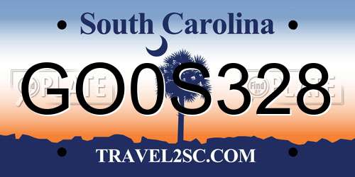 GO0S328 South Carolina License Plate