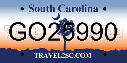 GO25990 South Carolina License Plate