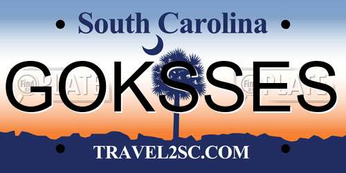 GOKSSES South Carolina License Plate