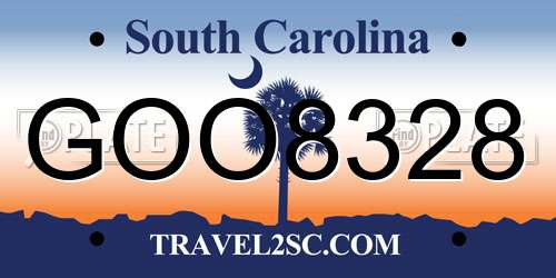 GOO8328 South Carolina License Plate