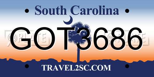 GOT3686 South Carolina License Plate
