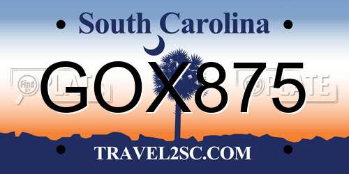 GOX875 South Carolina License Plate