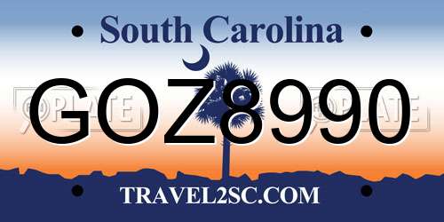 GOZ8990 South Carolina License Plate