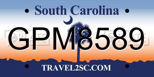GPM8589 South Carolina License Plate