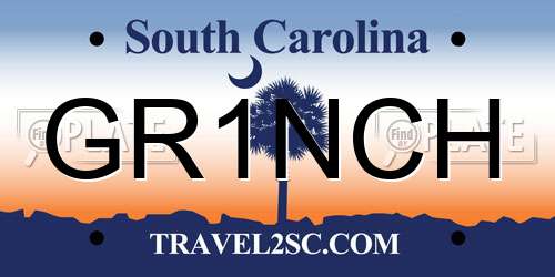 GR1NCH South Carolina License Plate