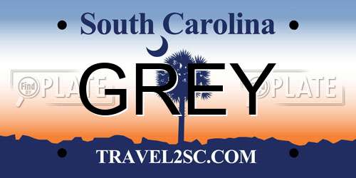 GREY South Carolina License Plate