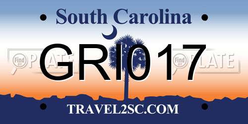 GRI017 South Carolina License Plate